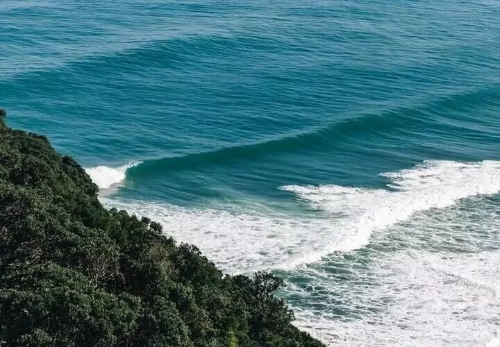 నా హృదయ సంద్రం ఘోష,,,,,!!