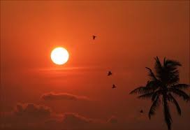 తీయని స్వప్నం