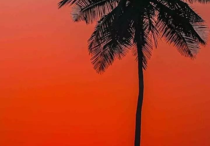 జీవన విలువలు