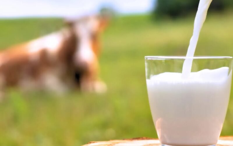 జాతీయ పాల దినోత్సవం