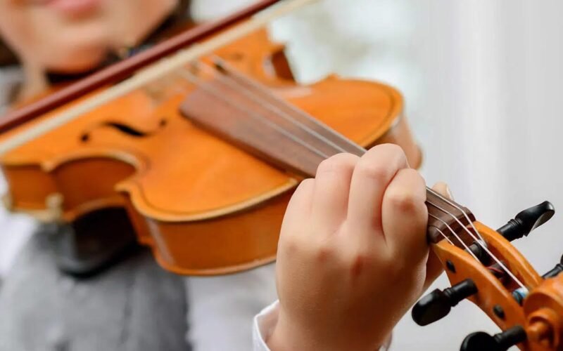 ప్రపంచ వయోలిన్ దినోత్సవం