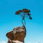 కాలానికి ఎదురీదితేనే జీవం ఉనికి