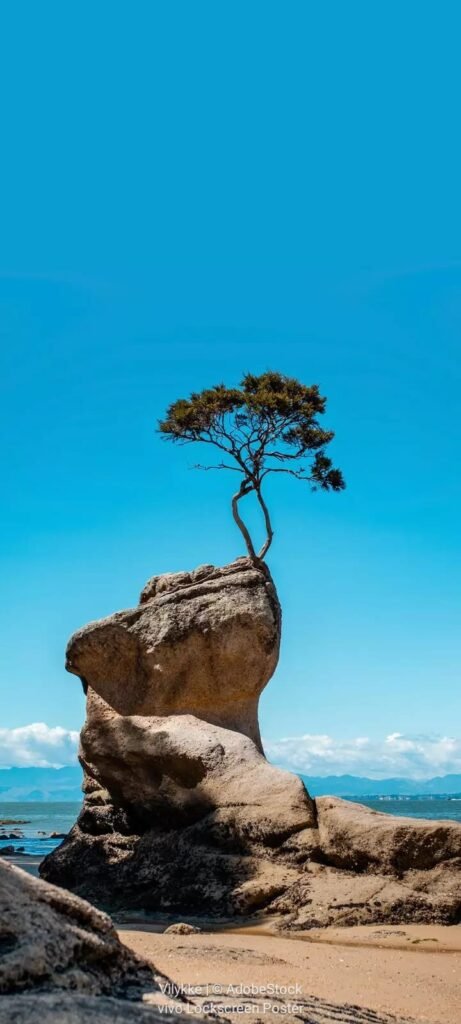 కాలానికి ఎదురీదితేనే జీవం ఉనికి