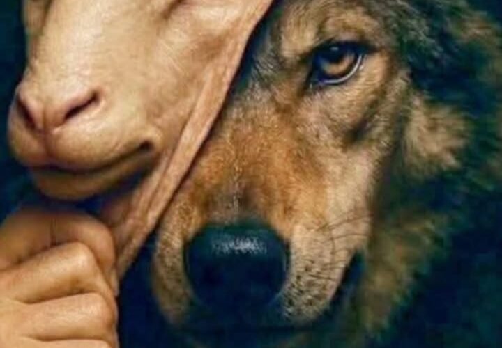 సమయపాలనతో తెలుసుకో