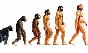 ఆదిమానవుడు