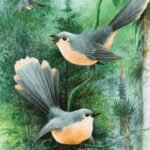 ప్రేమ ఊసుల పావురాలు....!!