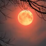 వణుకుపుట్టిస్తున్న చలి తీవ్రత....!!