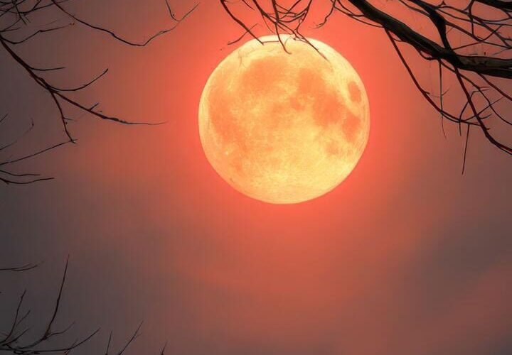 వణుకుపుట్టిస్తున్న చలి తీవ్రత….!!