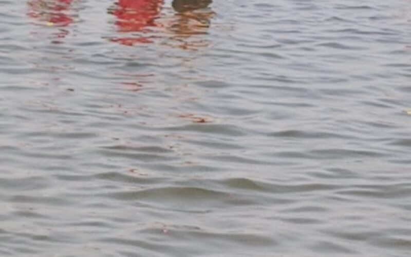 కాశీయాత్ర ( ఐదవ రోజు )