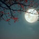 కురిసే వెన్నెల చల్లదనాలు