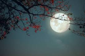 కురిసే వెన్నెల చల్లదనాలు