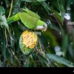 తే!!గీ!!💐💐💐💐